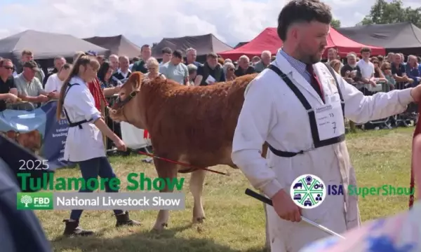 Sponsors Night for Ireland's Leading Show image
